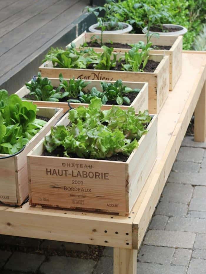 Best 20 Vegetable Garden Design Ideas, Small Vegetable Garden Ideas South Africa