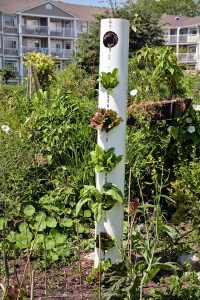 pvc pipe vertical vegetable garden