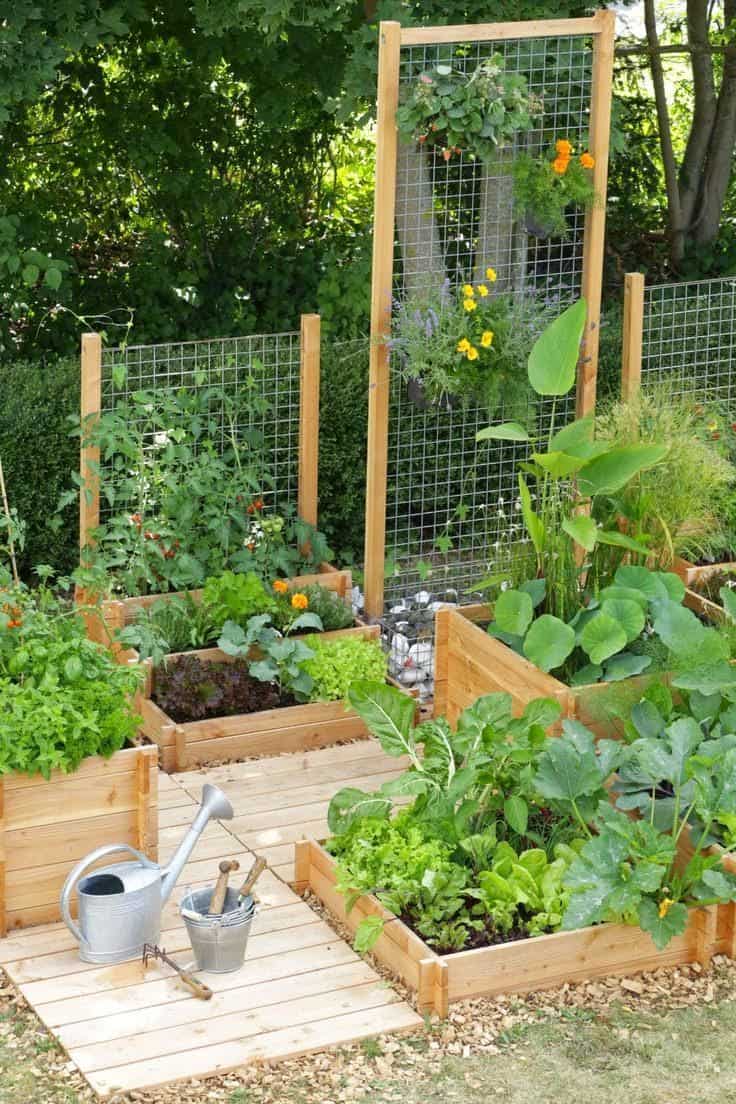 Best 20 Vegetable Garden Design Ideas for Green Living   MORFLORA