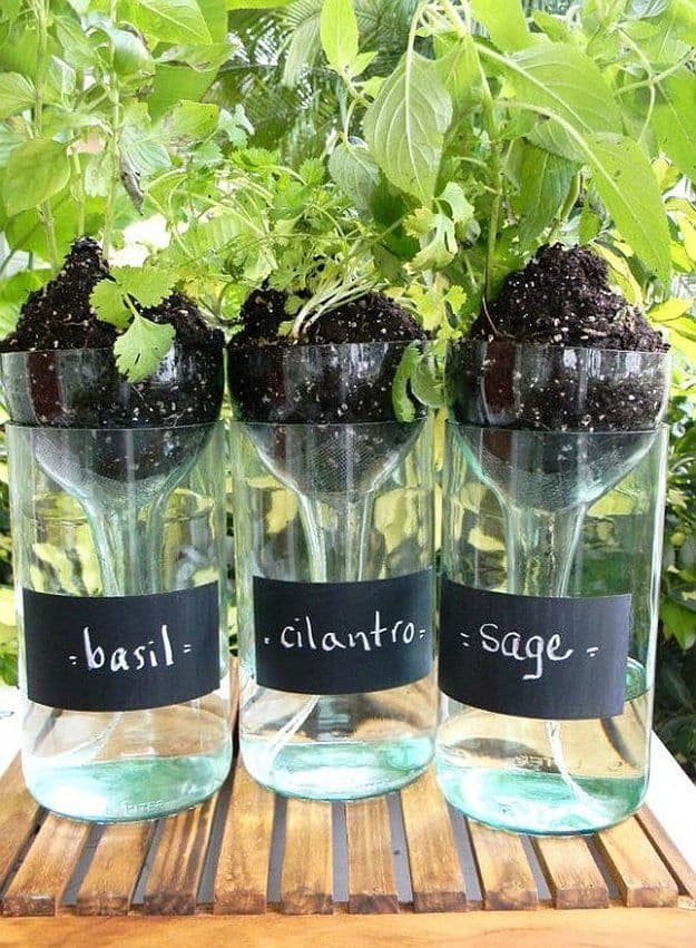 Cool DIY Self-watering Planter using a wine bottle