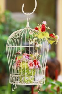 Bird Cage Hanging Planter ideas