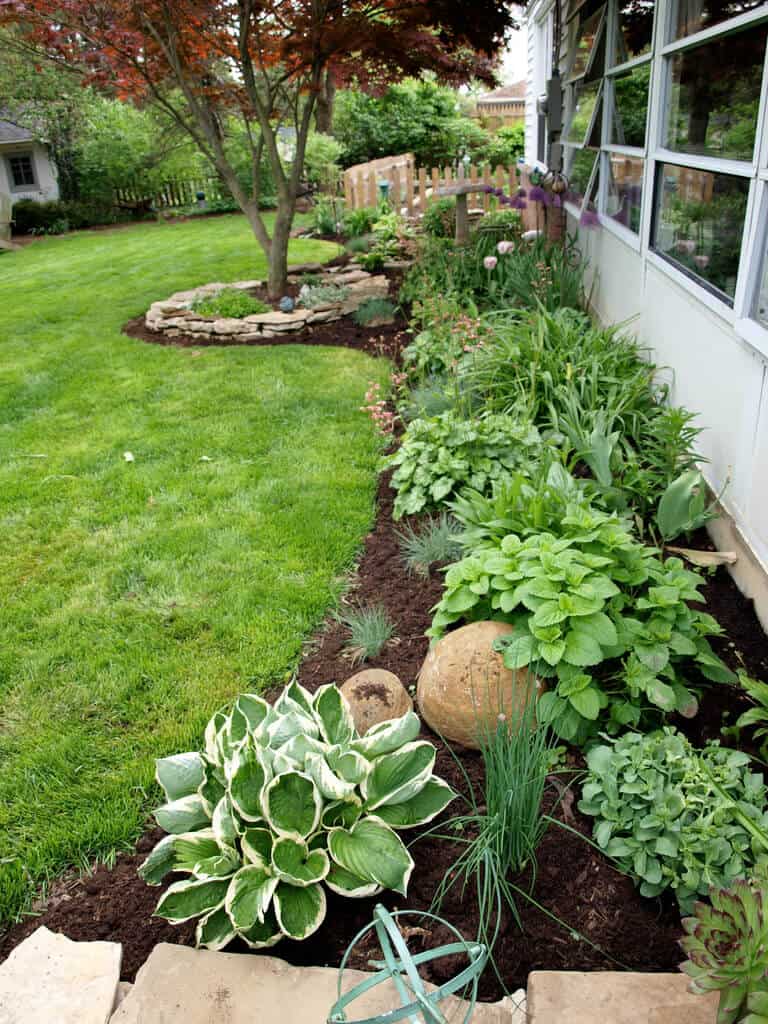 Side Yard Plant, Flower, and Herb Garden