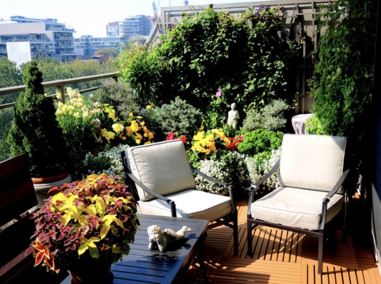 home balcony garden ideas