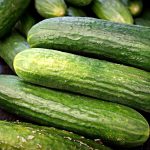 how to grow cucumbers indoor and outdoor