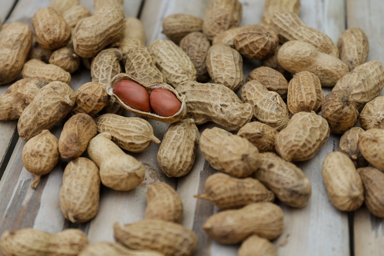 how to grow peanuts at home