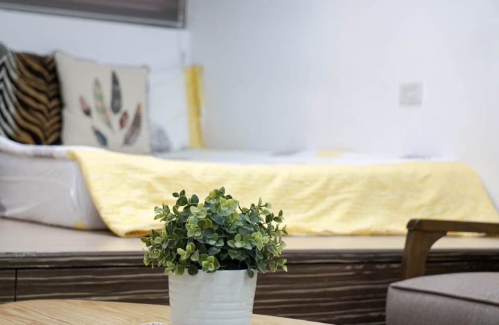 17 Best Plants For Bedroom To Help You Get A Good Sleep