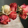 Tips How to Dry Flowers