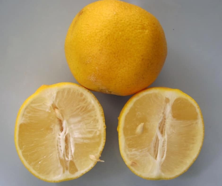 Limetta Lemons