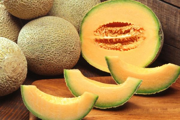 Popular Types of Melons