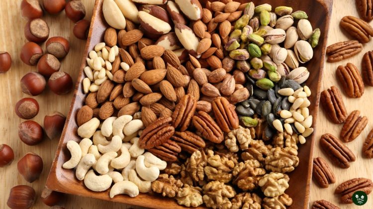 different types of edible nuts