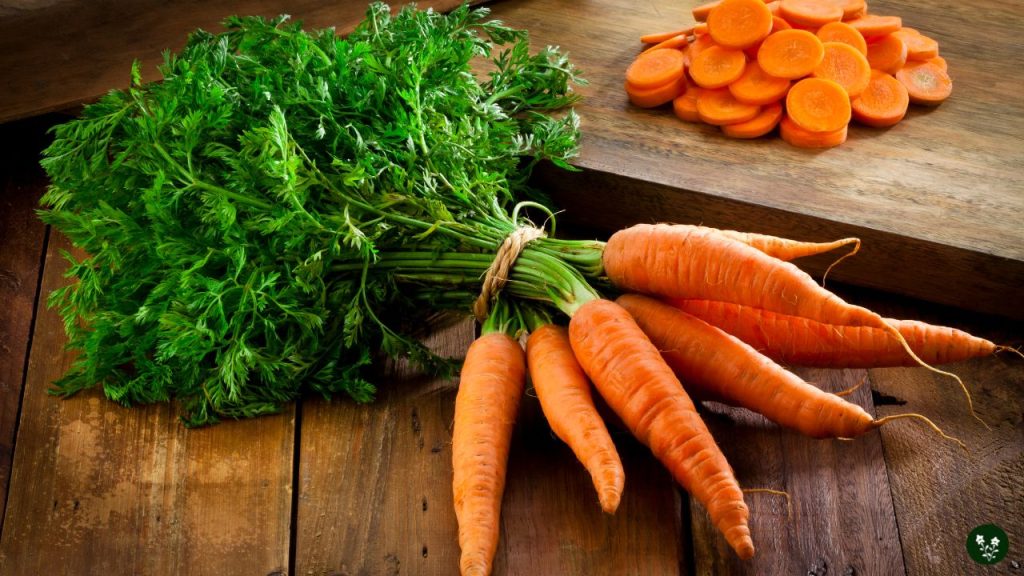 Choosing the Right Carrot Variety