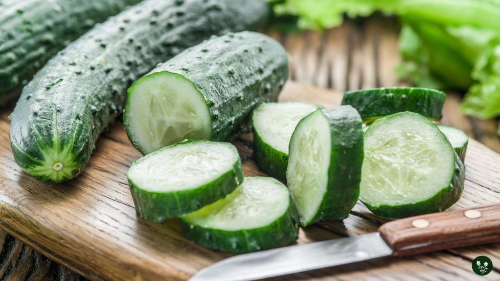 Choosing the Right Cucumber Variety