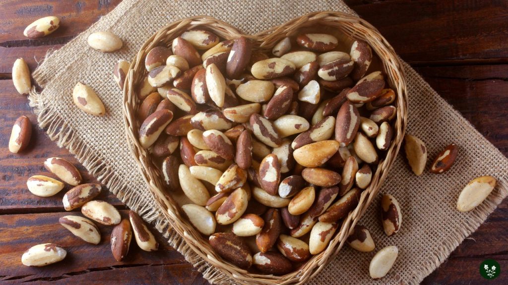 Less Common Types of Nuts