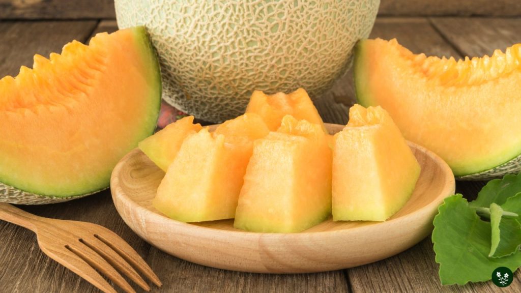 Health Benefits and Nutrition melon