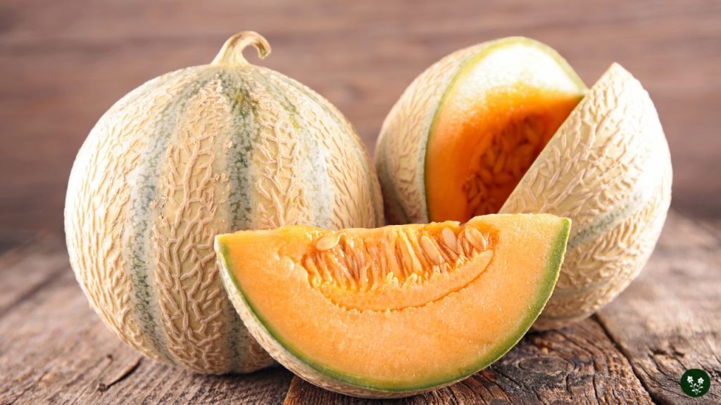 Popular Types Of Melons: A Quick Guide To Delicious Varieties