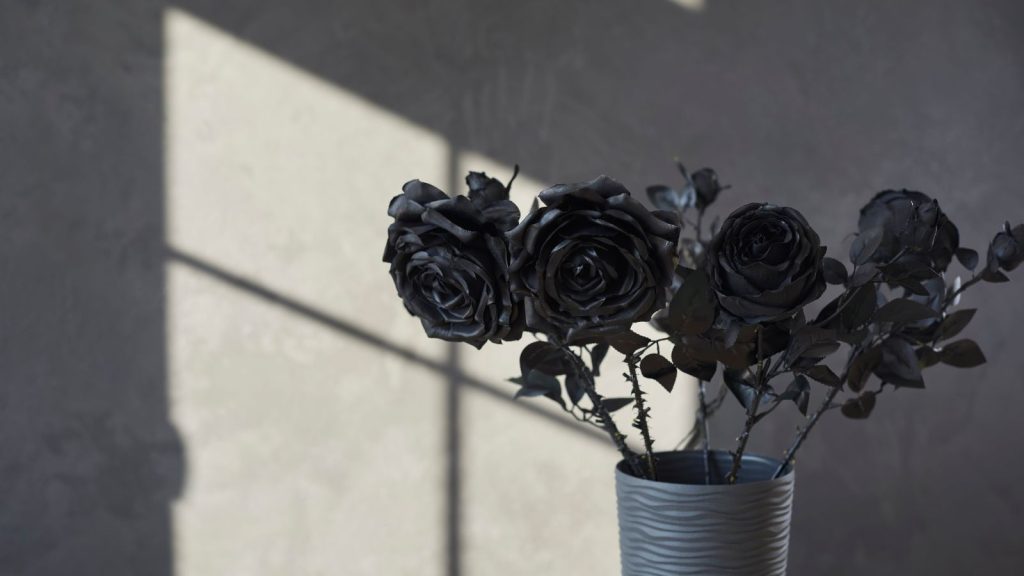 black rose meaning symbolism