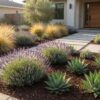 Drought Tolerant Landscape Front Yard Ideas