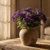Heliotrope Flower Meaning