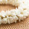 Sampaguita Flower Meaning