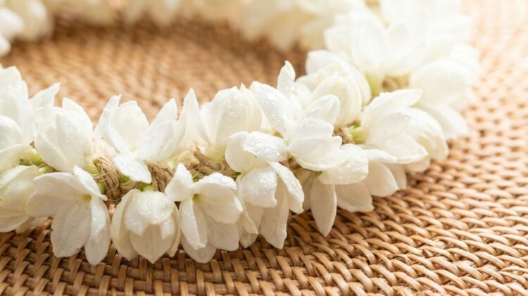 Sampaguita Flower Meaning